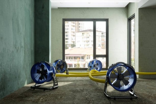 Best Emergency water damage restoration  in Eglin Af, FL