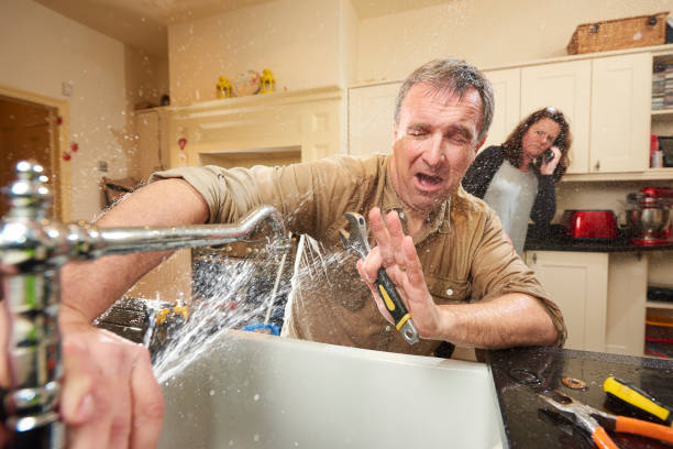Best Mold removal after water damage  in Eglin Af, FL